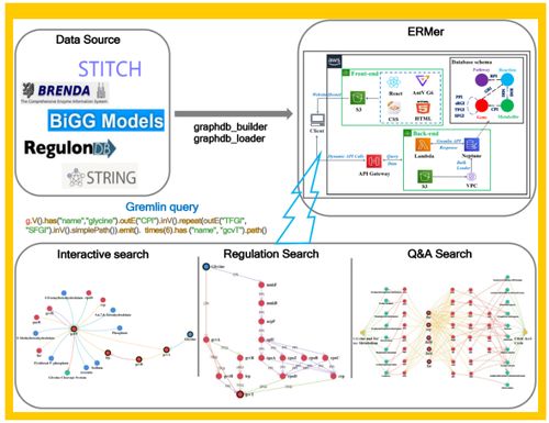 微生物領(lǐng)域的革新 Tibcas聯(lián)合亞馬遜云科技提出針對(duì)真實(shí)業(yè)務(wù)場(chǎng)景的信息技術(shù)咨詢服務(wù)新框架