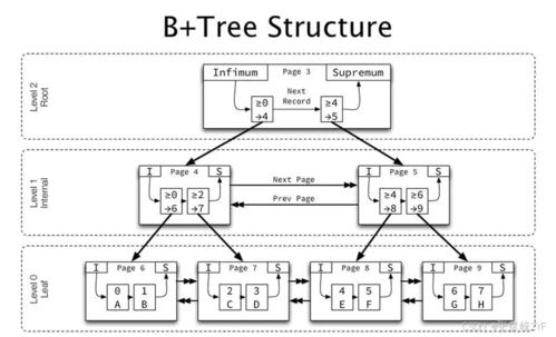 深入InnoDB核心 揭秘B+樹在數據庫索引中的高效應用